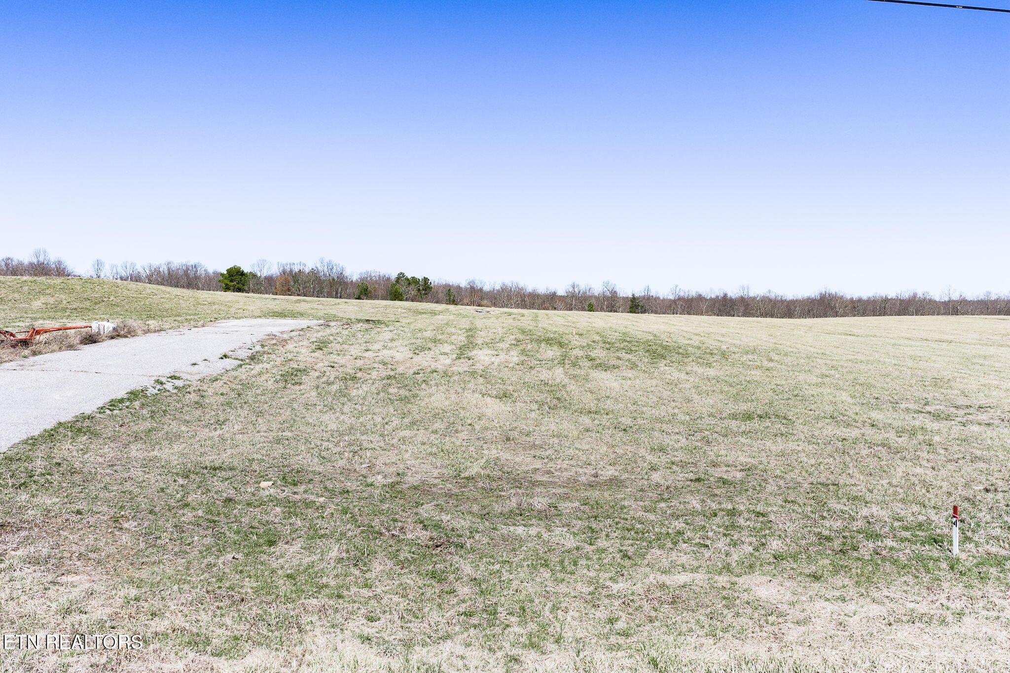 Image 3: Lot 4