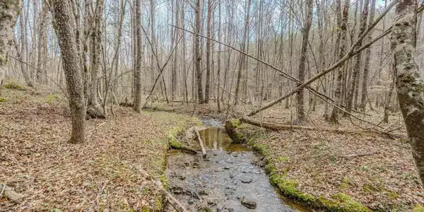 1259 Steve Brown Rd