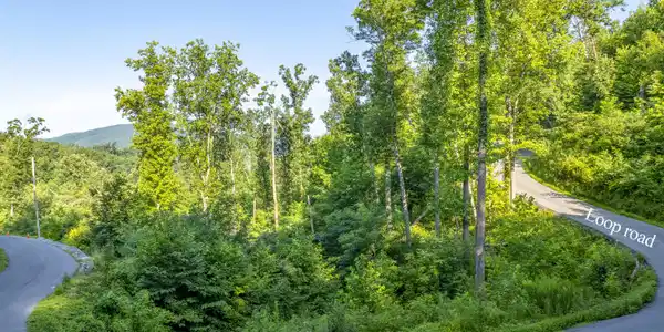 Loop Rd