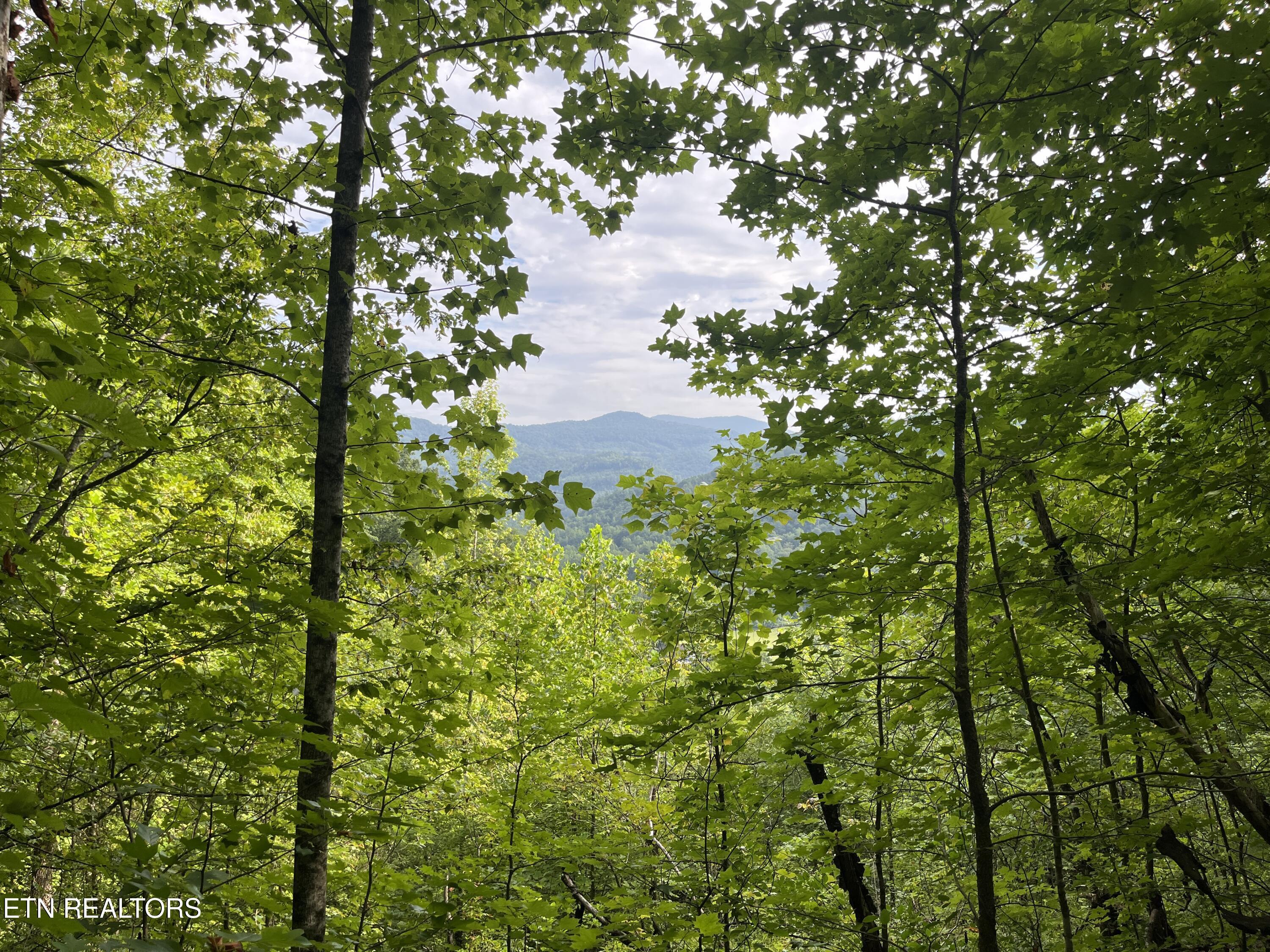 Image 3: IMG_0171