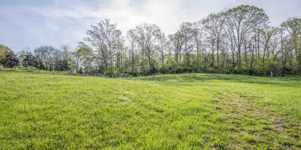 Image 2: yard 3_1