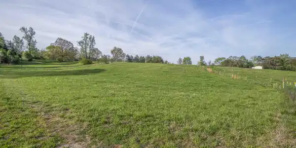 Image 3: yard 5_1