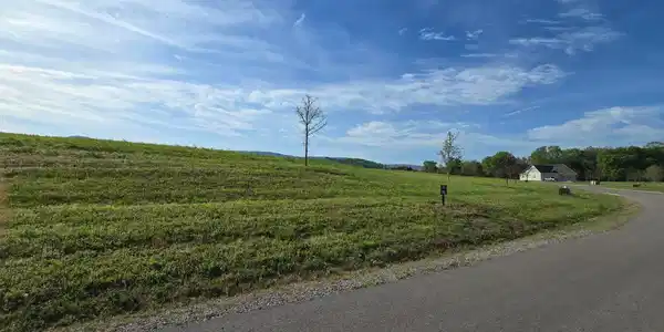 Image 3: 3
