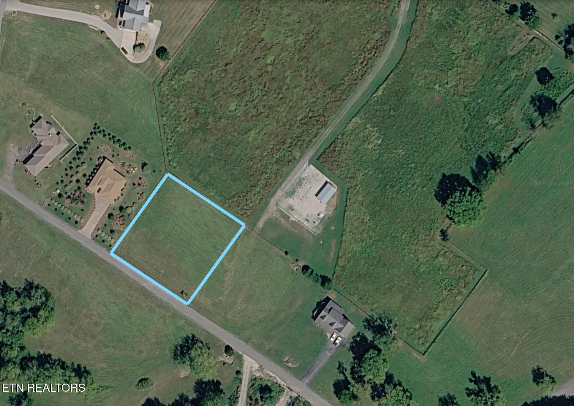 Image 2: Lot 80 Swan Song