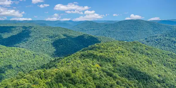 Image 3: 20-Mount A1