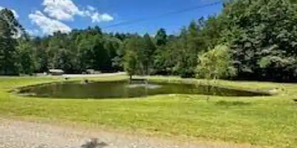 Image 2: Pond