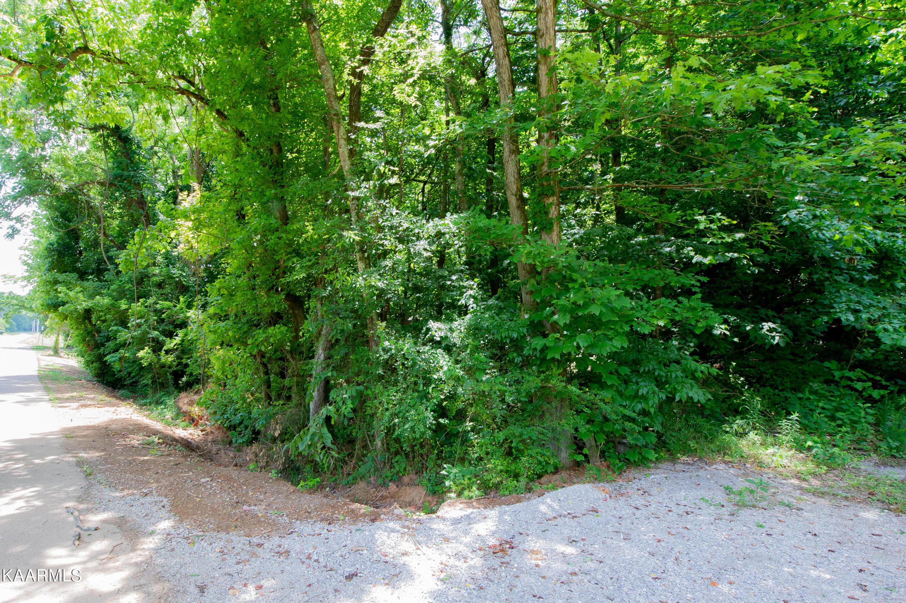 Image 2: lot 283 (2)