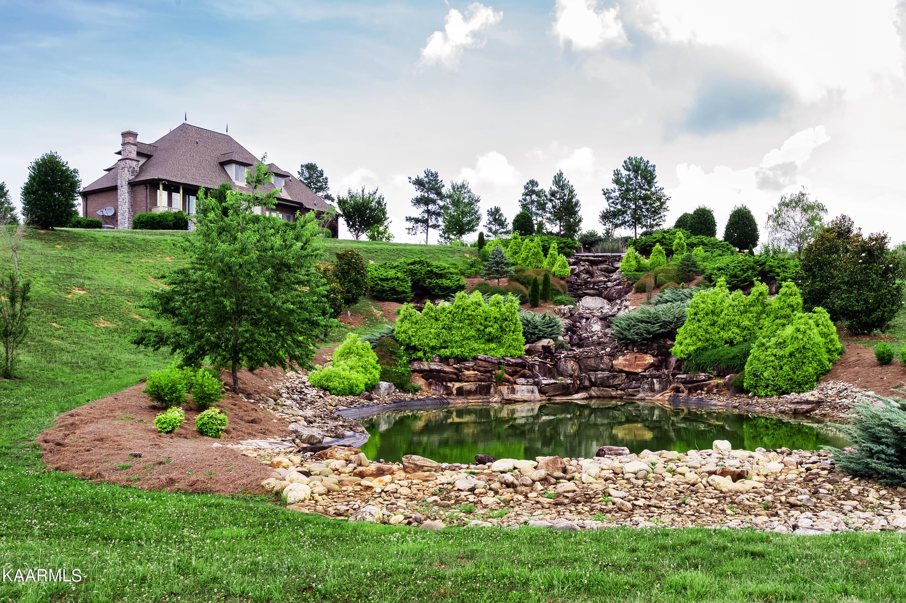 Image 4: Pond at entrance