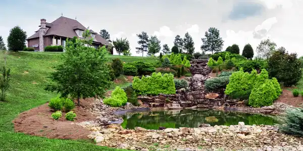 Image 4: Pond at entrance
