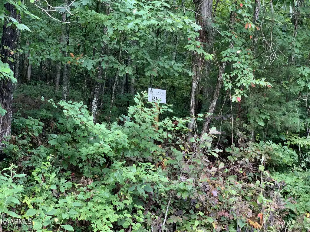 Image 1: Lot 284 (2)