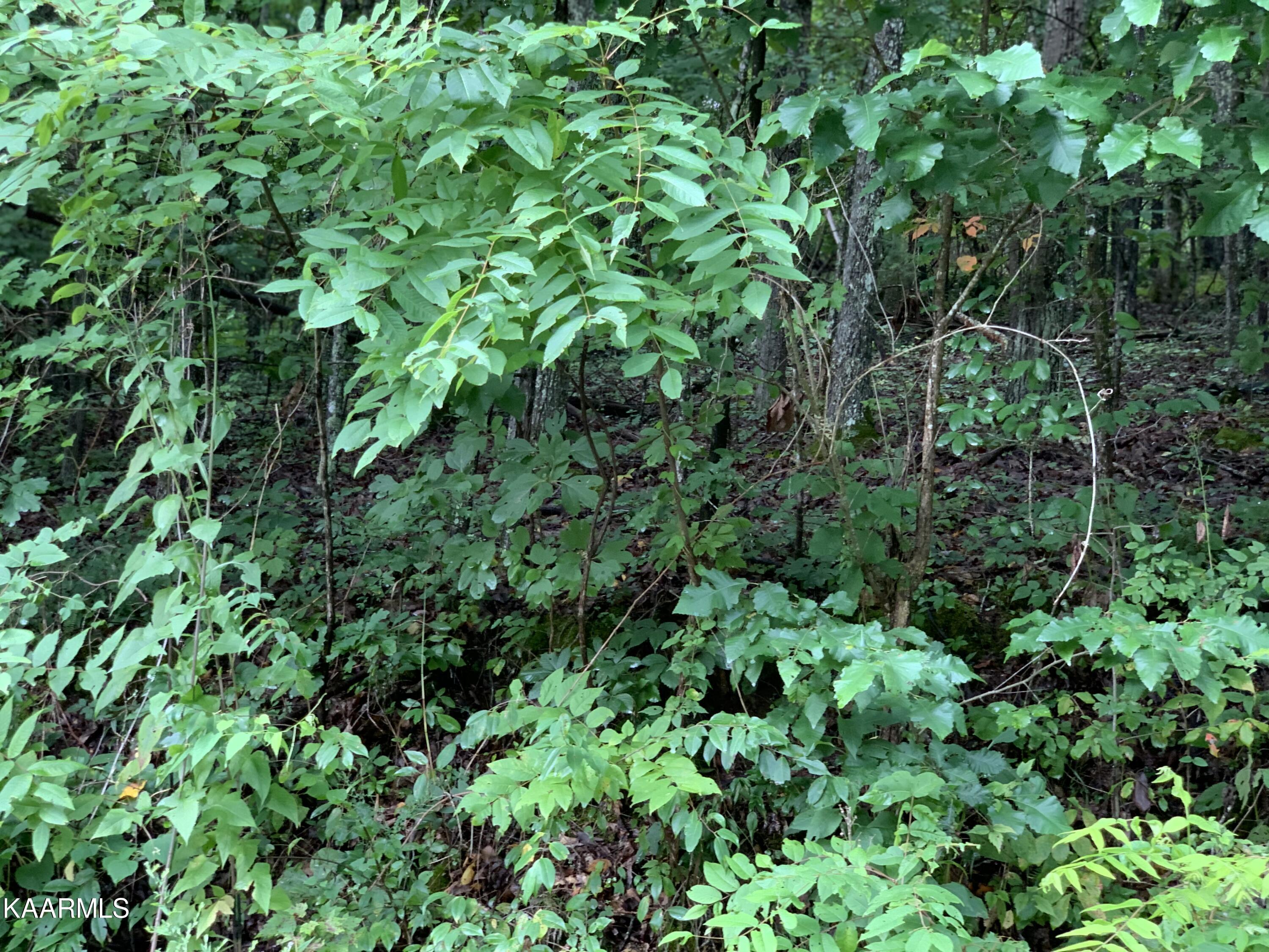 Image 3: Lot 284