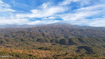 Tract 29R3 Chilhowee Mountain Tr