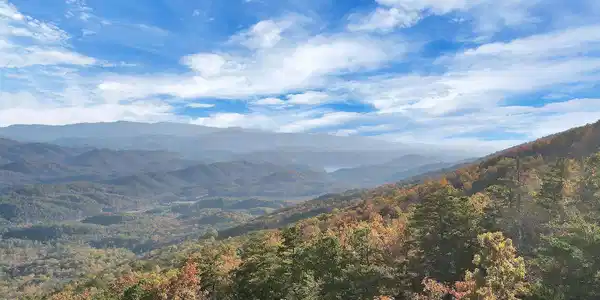 Image 2: 2