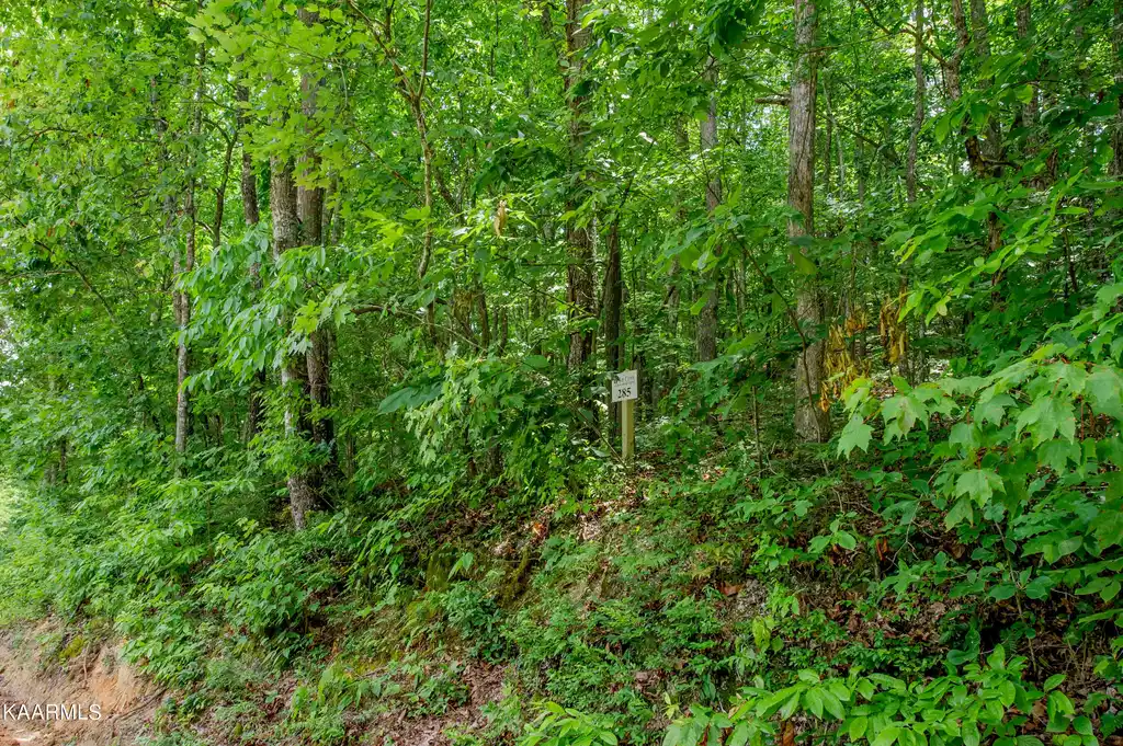 Image 1: lot 285 (1)