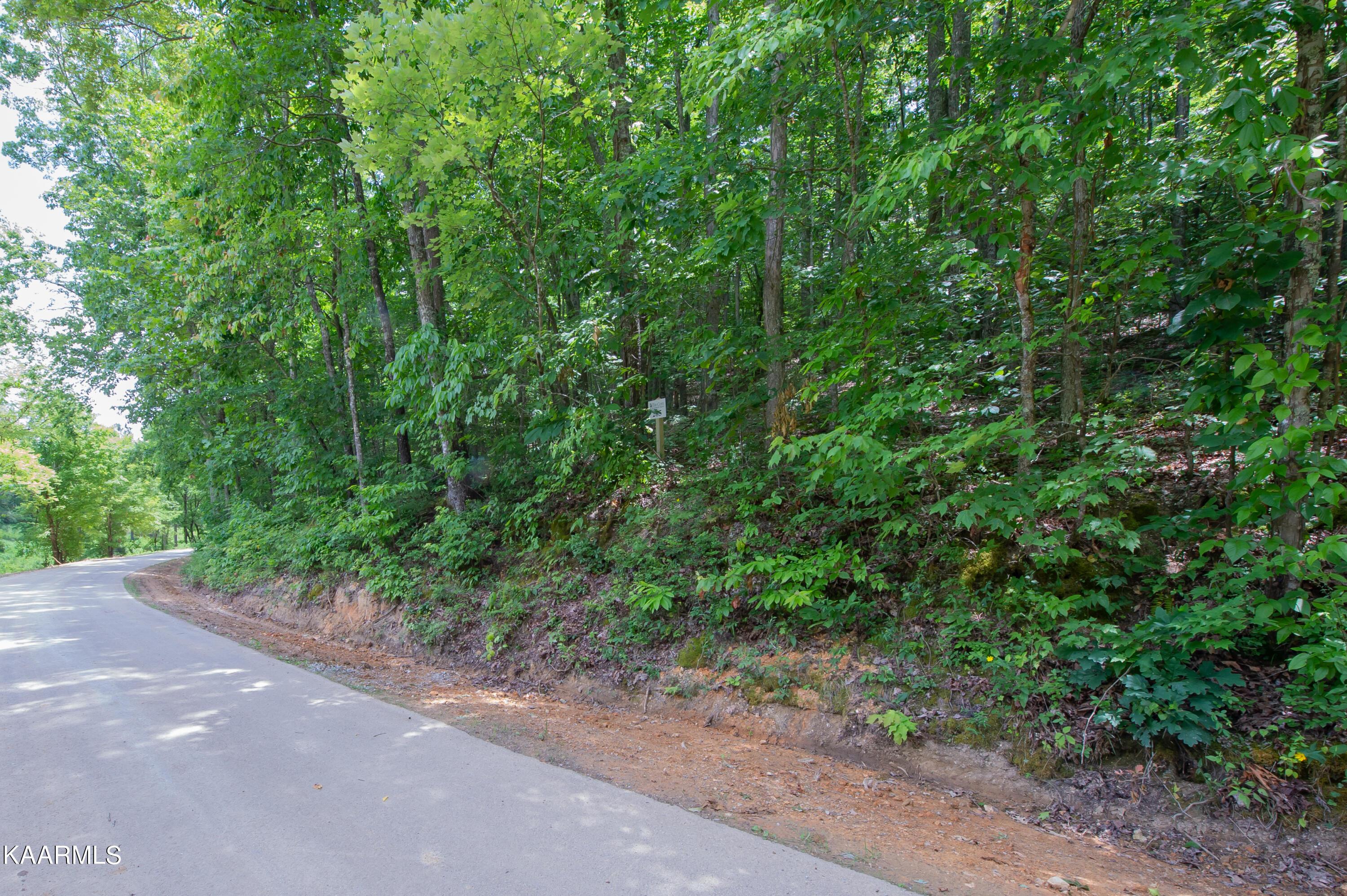 Image 3: lot 285 (3)