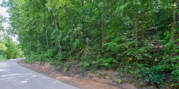 Image 3: lot 285 (3)