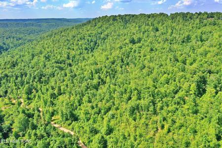 LOT 9, Mt View Rd
