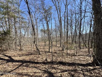 Honey Springs Rd