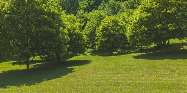 Image 3: DJI_20260513132103_0018_D