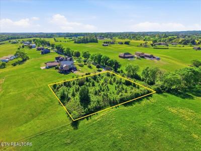 1745 Seymour Air Park Drive