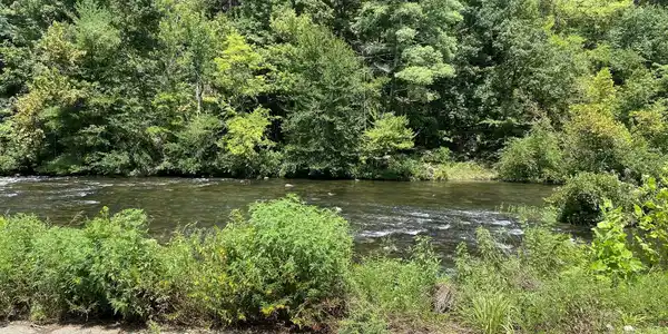 Image 4: River View