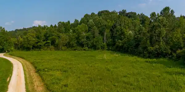 Image 3: DJI_0964-HDR 2