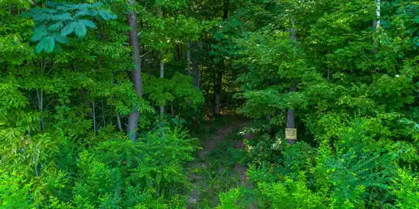 Image 4: DJI_0955-HDR 2