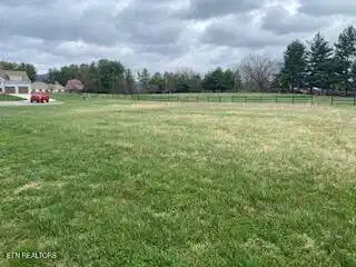 Image 3: 8E2AD506-BC80-4863-B59B-A727B88E5728