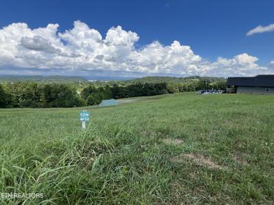 Lot 53 Cottonwood