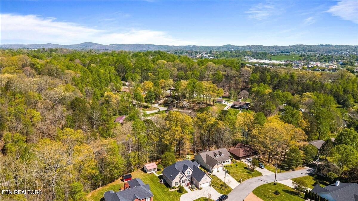 Image 3: 03-176 Mineral Springs Ln