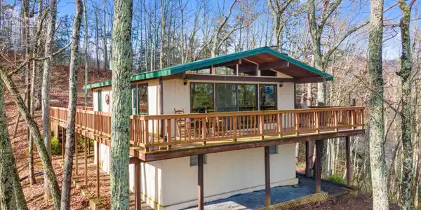 3310 Shagbark Hickory