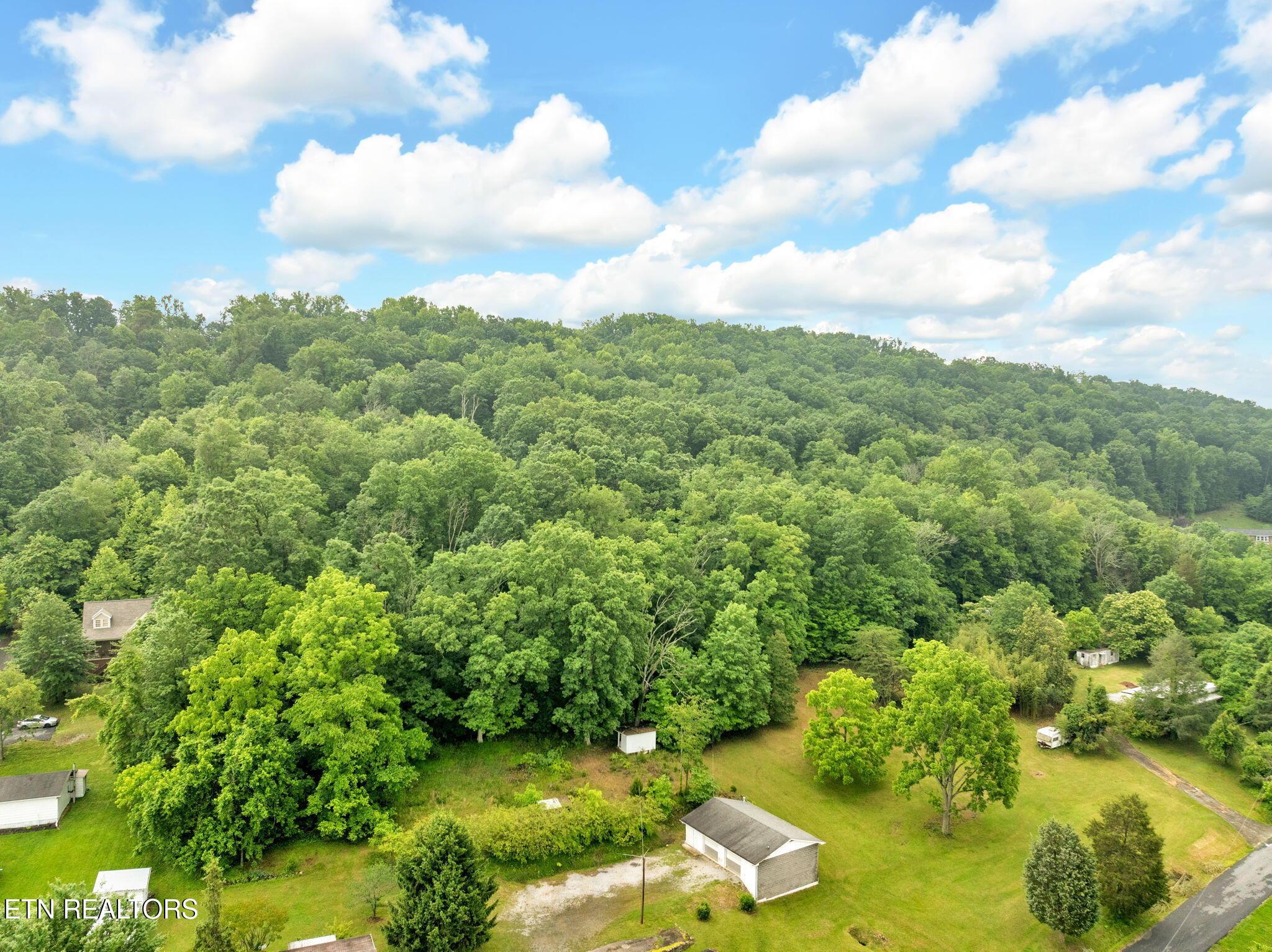 Image 2: 10-web-or-mls-JH 20250529-028