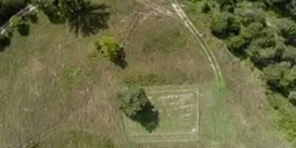 Image 3: field