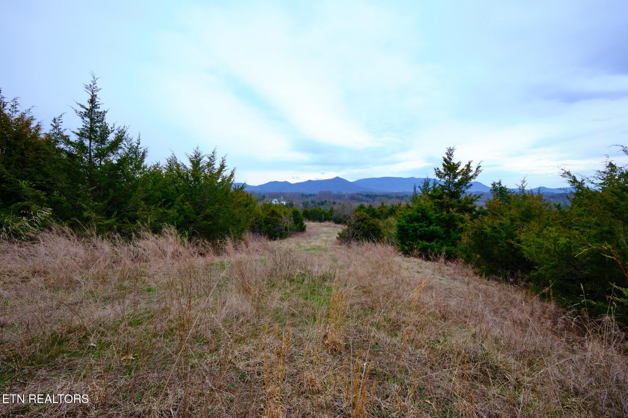 Image 2: Lot #3 1410 Swannsylvania Rd Dandridge,
