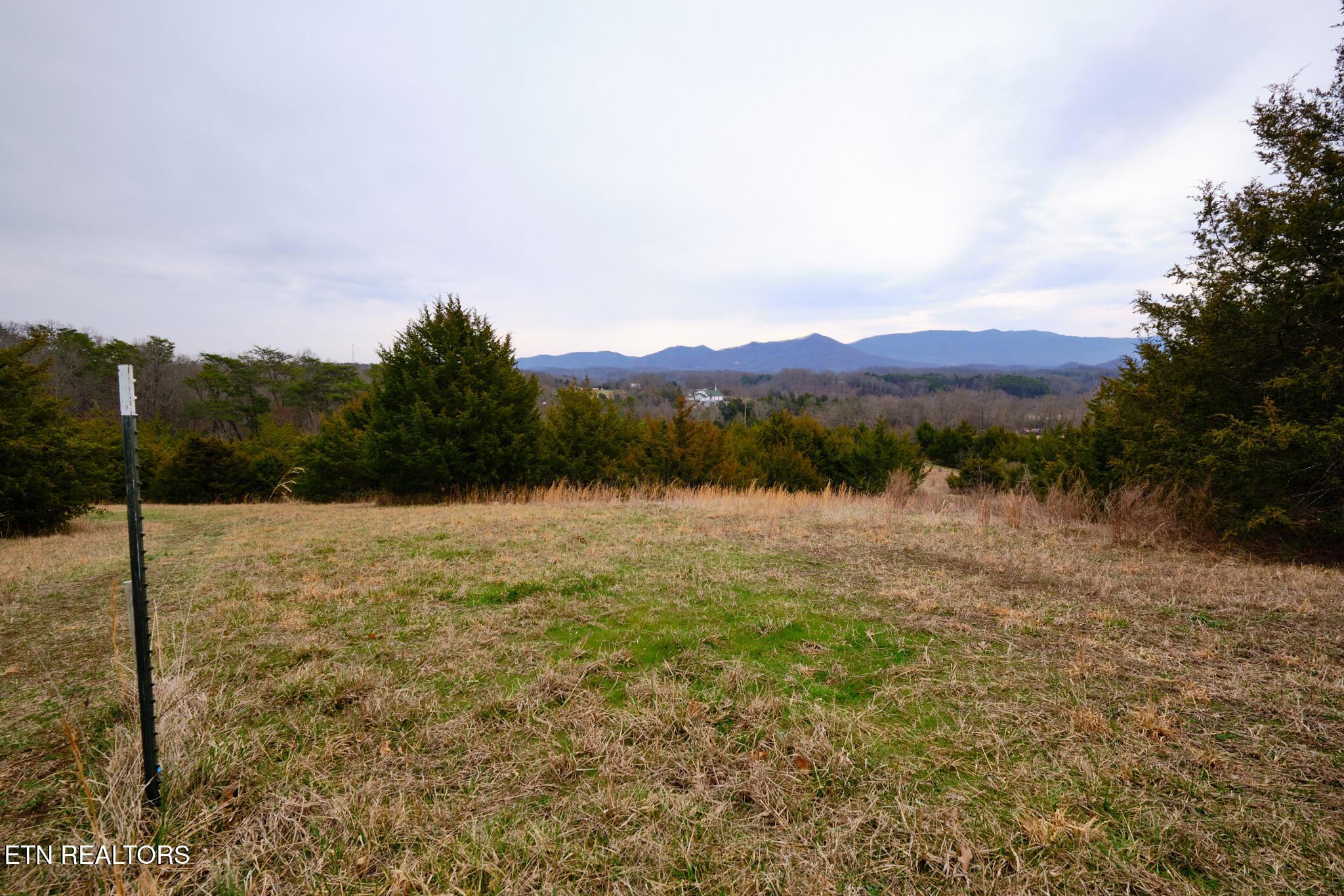 Image 3: Lot #3 1410 Swannsylvania Rd Dandridge,