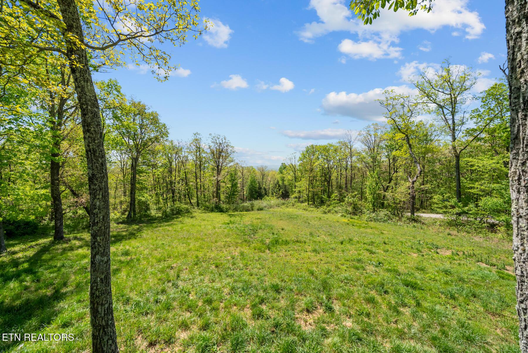 Image 4: 74 Black Cat Trail
