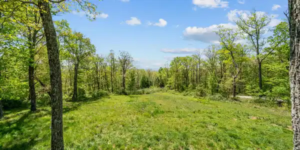 Image 4: 74 Black Cat Trail