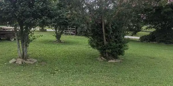 Image 3: v1