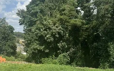 Image 3: image0 (11)