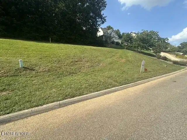 Image 1: image3 (1)