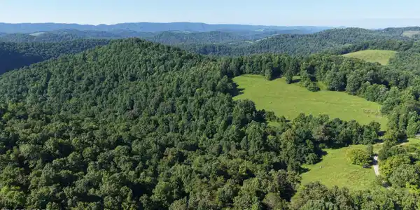 Image 4: SW View of whole