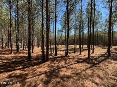 000 Worley Rd