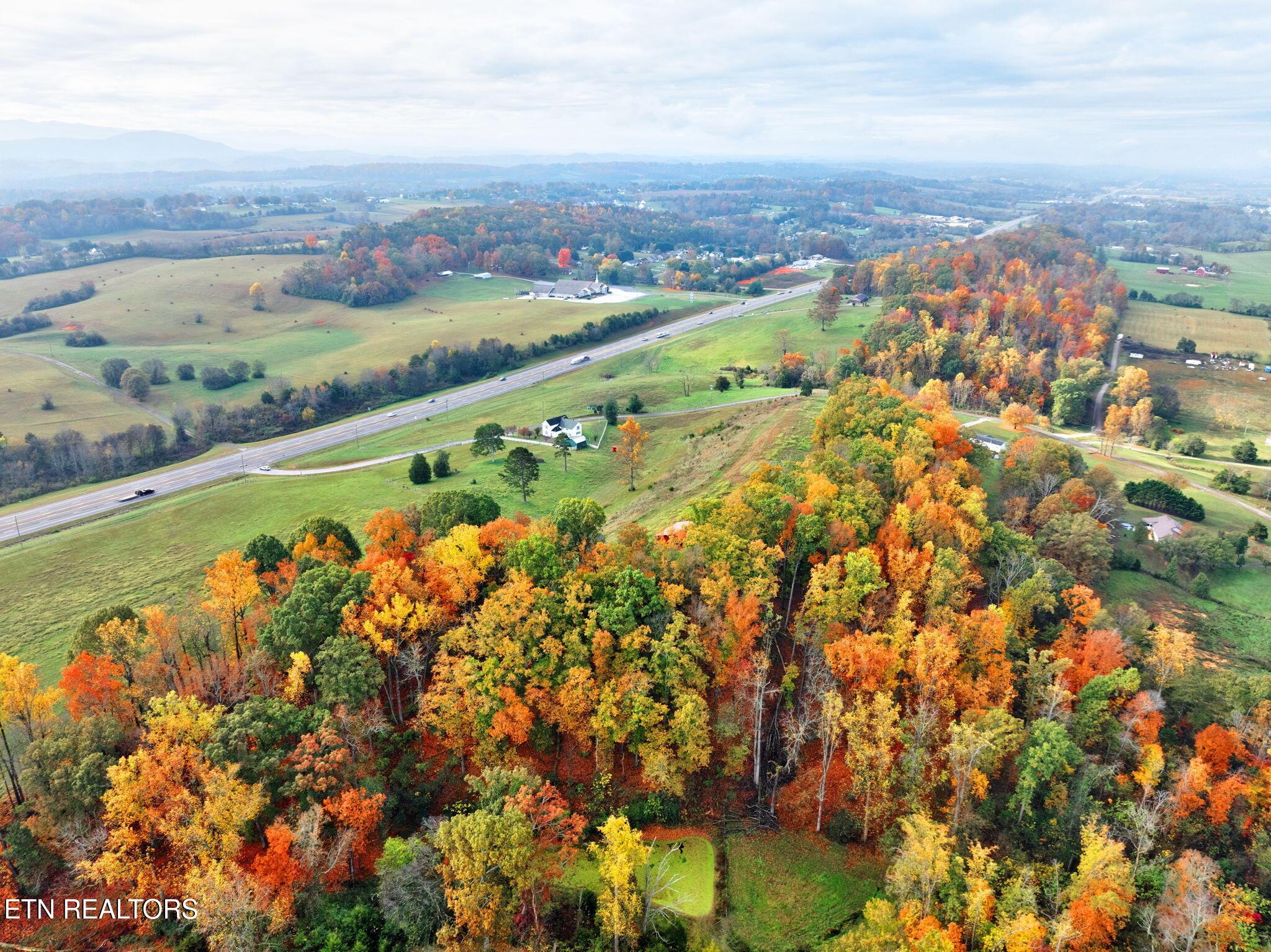 Image 3: 9-web-or-mls-4217-hwy-411