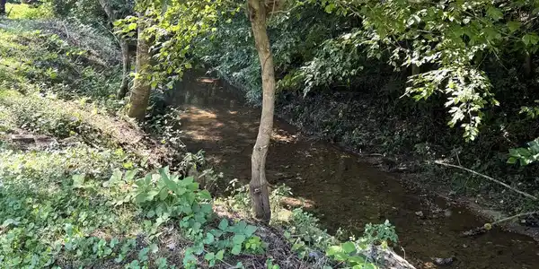 Image 4: Creek
