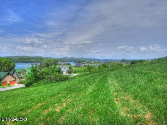 Image 4: Looking east