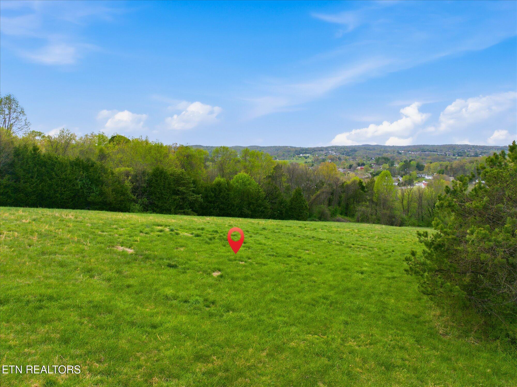 Image 3: 33-Ottari-Dr-Halls-TN-33