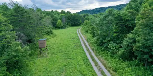 Image 3: 3
