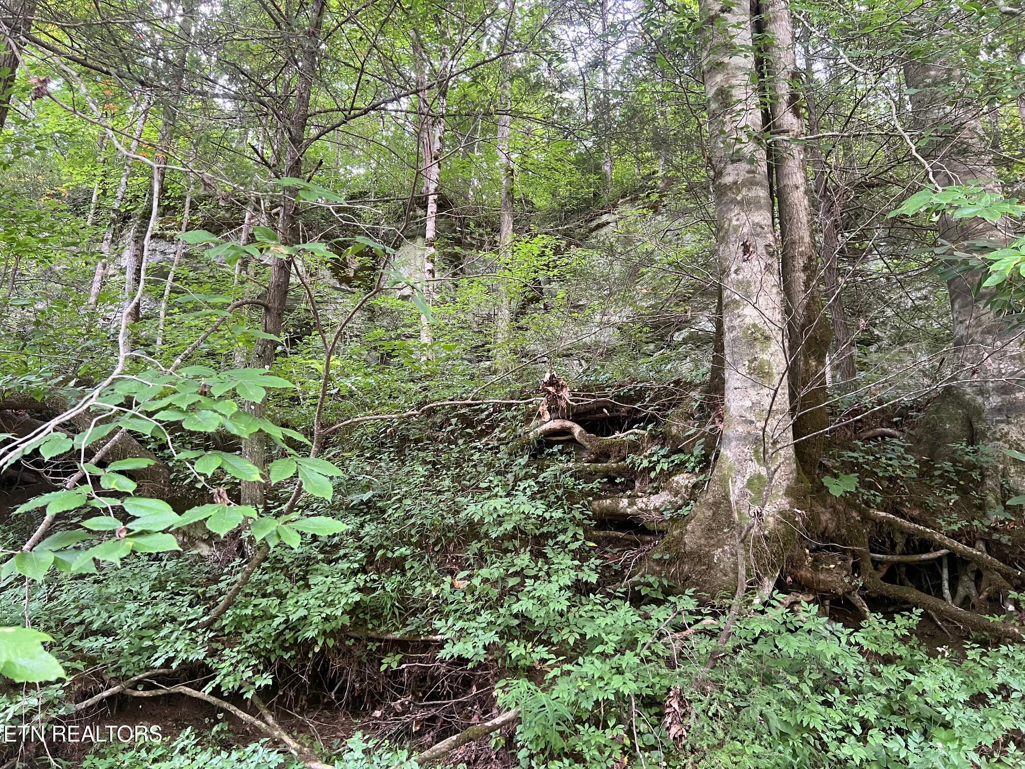 Image 3: IMG_6456