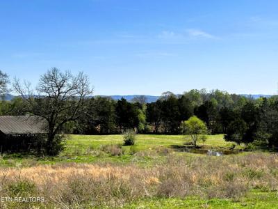 17.5 acres County Road 571