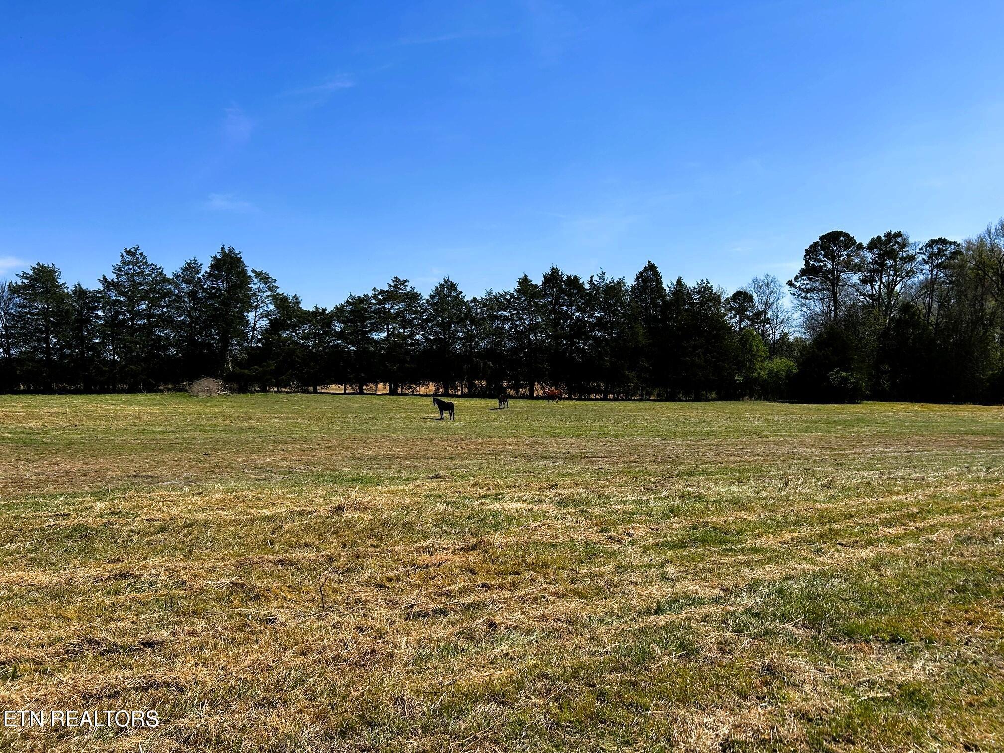 Image 3: Slack Farm 7